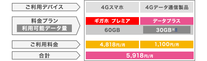 ドコモ データプラス