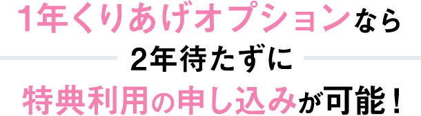 1年くりあげオプション