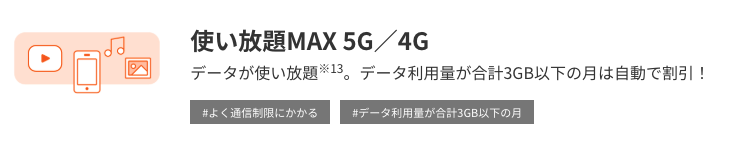 au 使い放題MAX＋