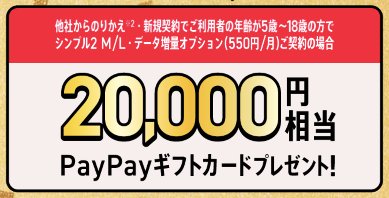 SIMカード/eSIMご契約でPayPayポイントプレゼント！