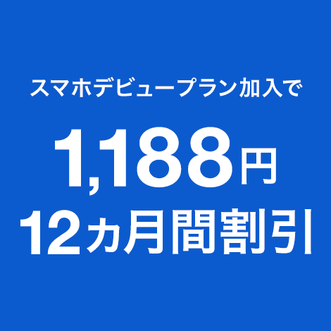 1年おトク割＋