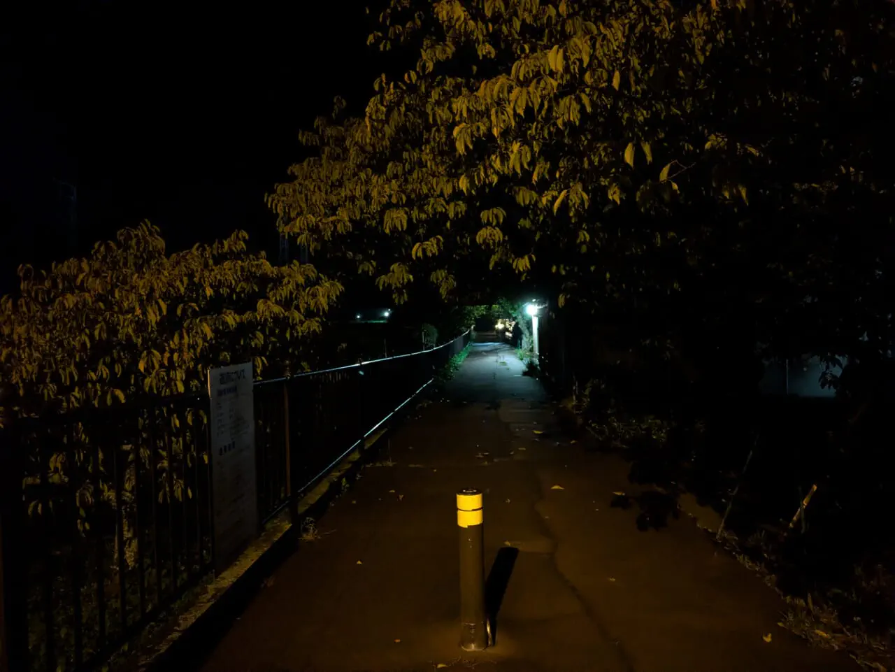 Google Pixel 8aで撮影した夜景写真