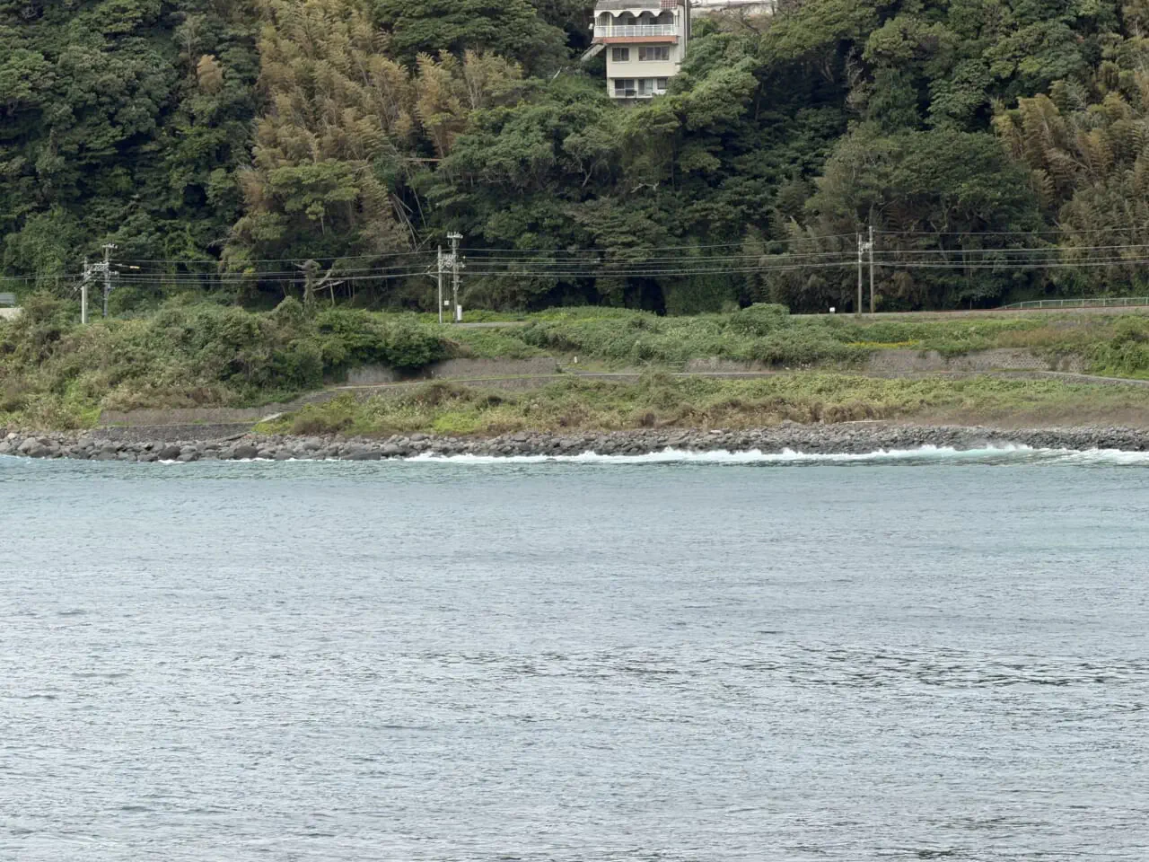 iPhone17 Pro Maxズーム写真