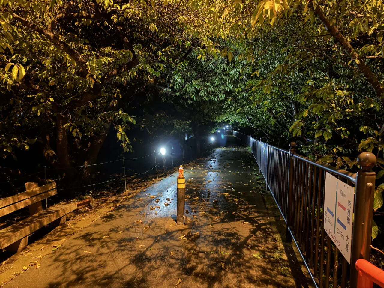 iPhone17 Pro Maxの夜景写真